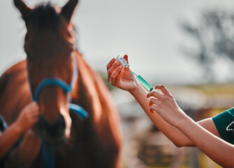 Horse, woman veterinary and medicine syringe outdoor for health and wellness in countryside....