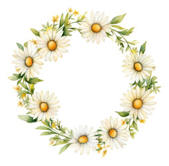 Watercolor daisy floral wreath isolated.