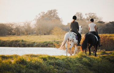 Horseback riding, freedom and friends in nature by the lake during a summer morning with a view....