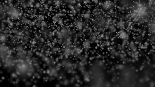 3D rendered animation of calm snowfall isolated on the empty black background