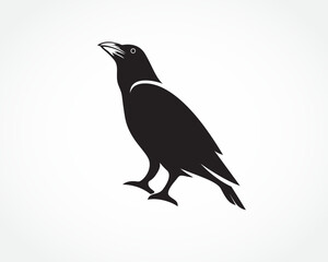 silhouette raven bird stand logo symbol design template illustration inspiration