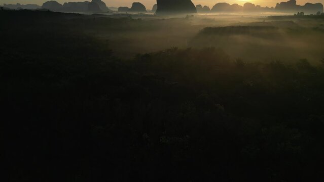 4k drone flying over palm trees at sunrise shot in Krabi, Thailand