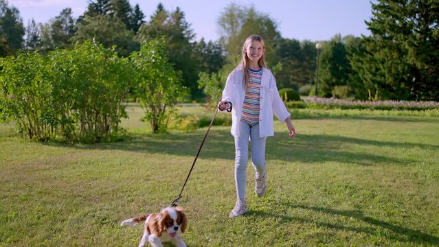 Little cute girl and pet dog walking, running, having fun in summer park at sunset outdoors. Little girl holding hugging her favourite pedigree dog friend. Happy family kid friendship dream holiday