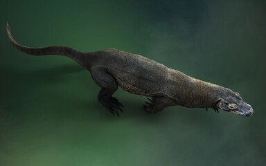 3D rendering of a Komodo Dragon Isolated on Green Background with Clipping Path.
