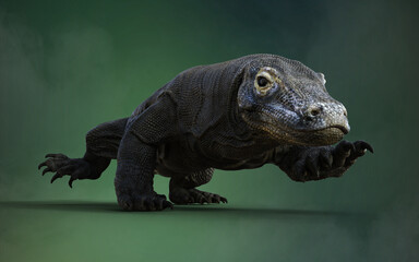 Obraz premium 3D rendering of a Komodo Dragon Isolated on Green Background with Clipping Path.