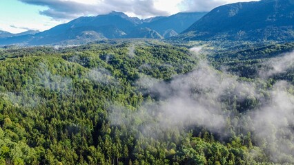 Stunning aerial view of a lush green forest surrounded by majestic mountains with cloudy skies
