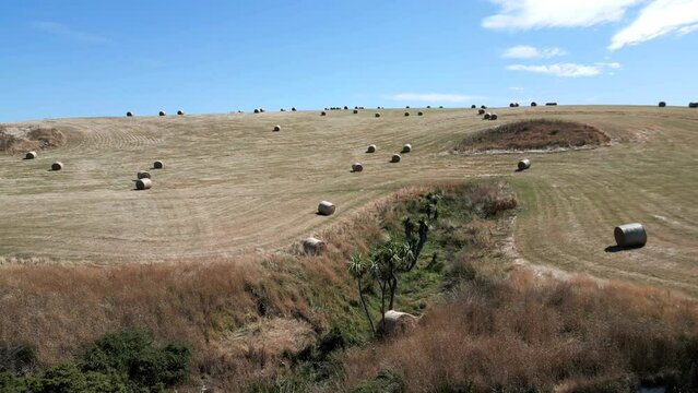 Aerial of many hay bales in the green field in Otago, New Zealand on a sunny day