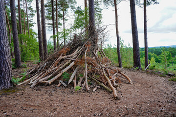 Woodland hut made of twigs and logs