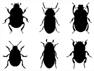 Set of Beetle Silhouette Vector Art on White Background