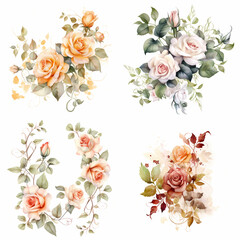 Artistic dynamic arrangement of roses flowers vine in off  white colour with leaves around illustration watercolours on white background, flower clip art