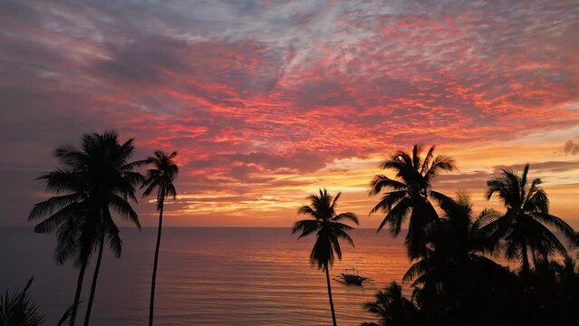 Aerial video of tropical palm trees on the sea shore during sunset