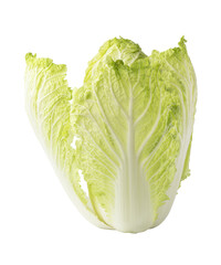 One whole chinese cabbage on a white background