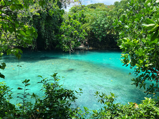 Blue lagoon Vanuatu Efate island 