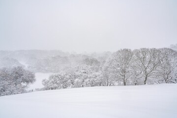 Farmland in a blizzard in Wales
