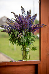 bouquet of lupines in a vase on the veranda