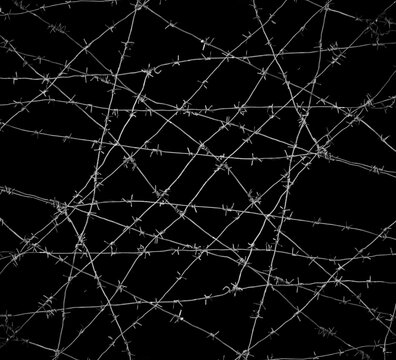 Old security barbed wire isolated on black background. Sharp military security fence. Closeup image. crossed Lines of barbed wire on black background. concentration camp.