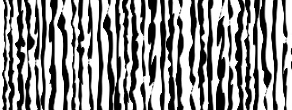zebra skin pattern