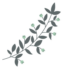 Botanical design element. Floral elegant branch decor