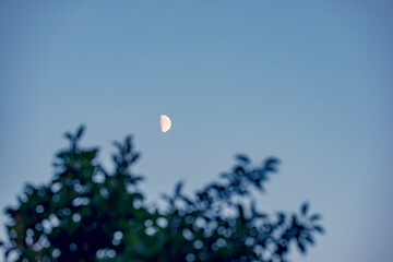 moon in the sky, nacka,swede,sverige,stockholm