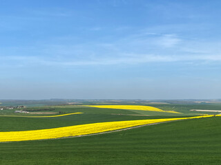 Obraz premium champs de colza