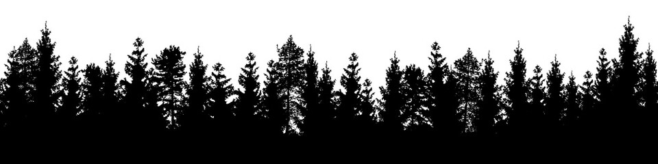 Seamless forest landscape with coniferous trees in black silhouettes on transparent background