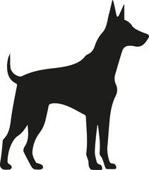 Doberman dog icon. Black silhouette. Vector illustration. Flat design.
