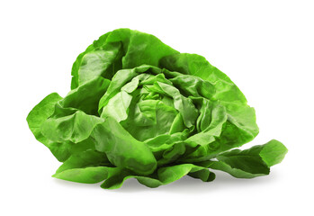 Fresh green butter lettuce head isolated on white