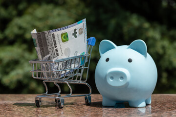 Banknote of 20,000 Kazakhstani tenge in a miniature shopping cart from a supermarket on a natural...