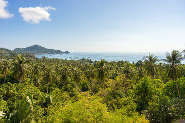 Fototapeta na wymiar Tropical landscape of Koh Tao island in Thailand. Sea view from the high, blue sky and green palms