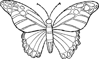 outline  insect  butterfly