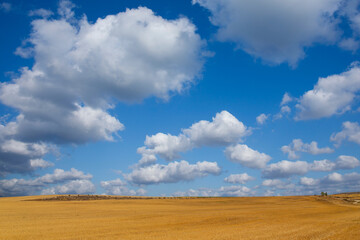 Fototapeta premium view of a crop field in Spain