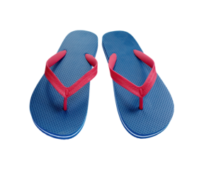 Blue and red flipflops front view isolated png file
