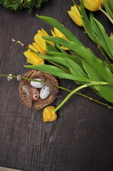 quail eggs and yellow tulips