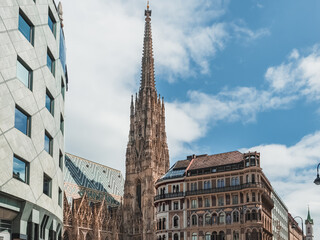 Fototapeta na wymiar St. Stephen's Cathedral in Vienna. Stephansdom