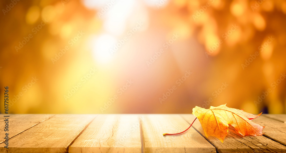 Aufkleber wooden planks and orange dry leaf against the background blurred tree foliage of trees in beautiful 