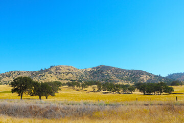 Beautiful mountains and trees in Arizona.