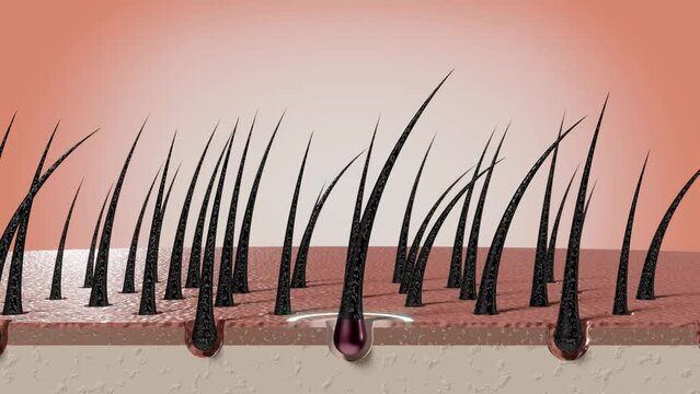 Shampoo or serum nourish hair follicles - hair care concept - 3D 4k animation (3840x2160px)