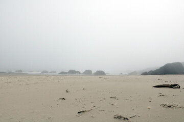 A foggy morning by the sea or ocean.
