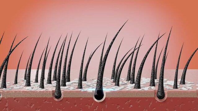 Shampoo or serum nourish hair follicles and removes dandruff - hair care concept - 3D 4k animation (3840x2160px)