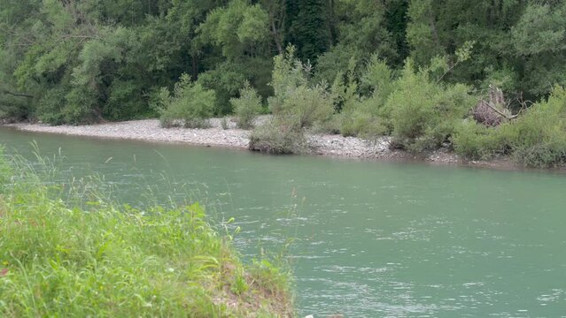 Nature - River 6