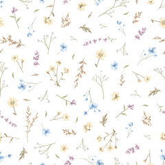 Seamless floral pattern with meadow dried flowers isolated on white background. Watercolor hand drawn illustration sketch