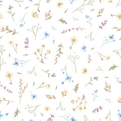 Seamless floral pattern with meadow dried flowers isolated on white background. Watercolor hand drawn illustration sketch © Mimomy