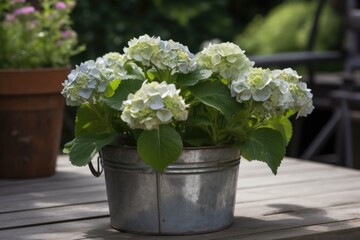 White hydrangeas in metal planter in sunny garden, created using generative ai technology