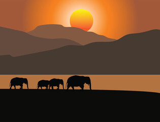 Naklejka premium elephants at sunset