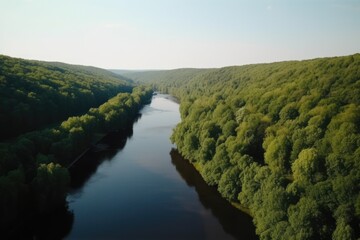 Fototapeta na wymiar Aerial shot of river in forest, created using generative ai technology