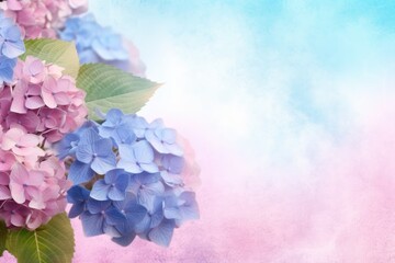 Blue and pink hydrangeas with copy space on pink and blue, created using generative ai technology