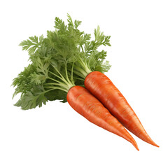 Carrots (PNG) - ai generated 