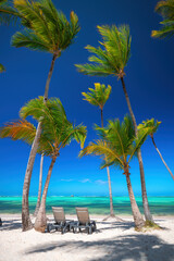 Exotic island beach with palm trees on the Caribbean Sea shore, summer tropical holiday