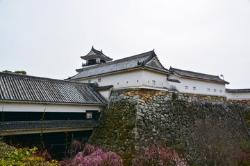 高知城　二の丸から本丸を望む