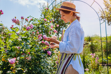 Young happy gardener enjoys blooming roses flowers in summer garden. Woman relaxing walking by Novalis rose